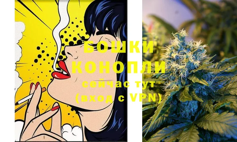 Бошки Шишки White Widow  где купить наркоту  гидра ссылка  Асбест 